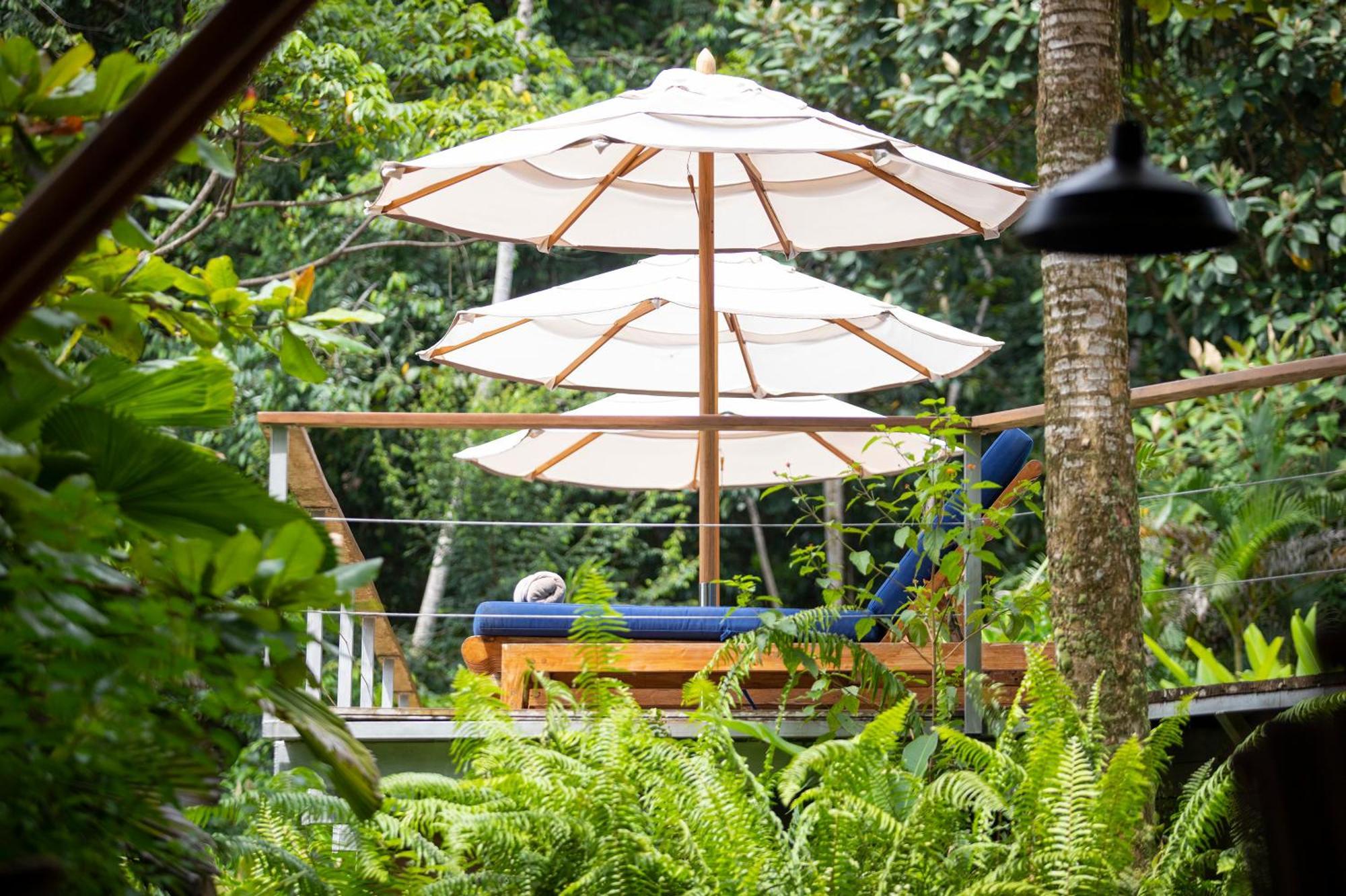 El Remanso Rainforest Lodge Puerto Jimenez Exterior photo